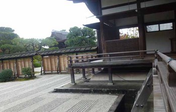 仁和寺の庭1.jpg